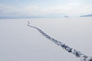 Sviežočka sa tiahne do diaľav bajkalského ľadu.