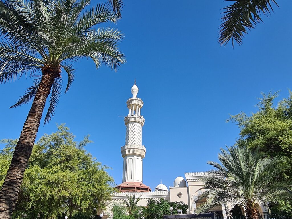 Aqaba 3